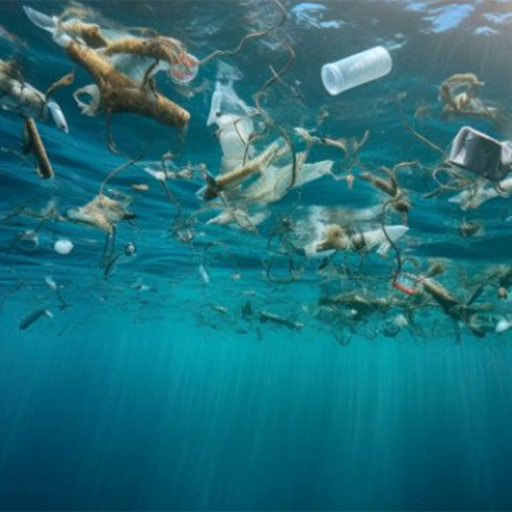 Furcsa fordulatot vett a világ egyik legnagyobb környezeti katasztrófája