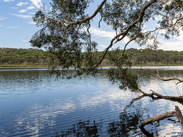 K’gari ikonikus tavai